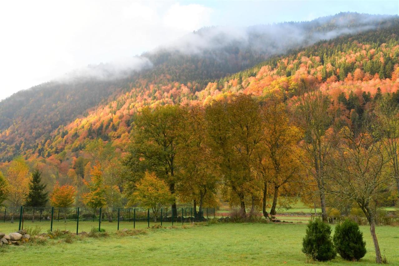 Maison tout confort pour votre séjour en famille Borderes-Louron Esterno foto